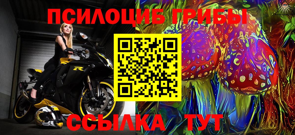 Галлюциногенные грибы MAGIC MUSHROOMS Вологда